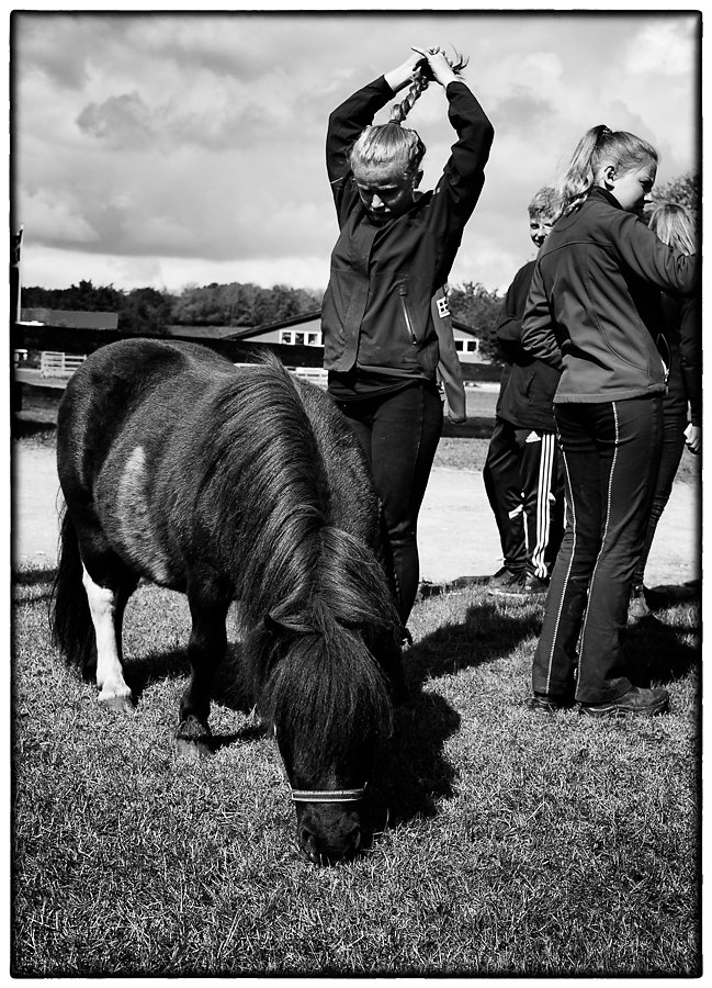 Girls and a pony